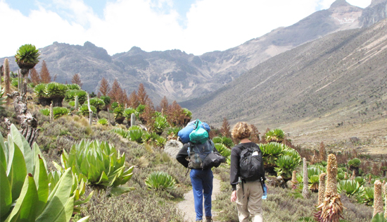 Mount Kenya Hiking