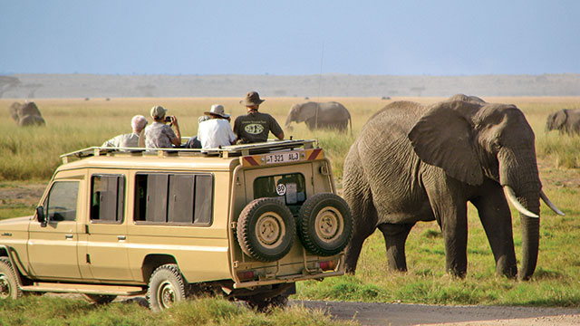 Exploring Tanzania