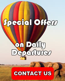 Special Kenya Safari Offers